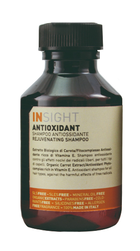 ANTIOXIDANT Шампунь антиоксидант для перегруженных волос (100 мл)